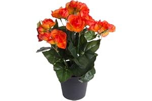 ‎BOTANIC-HAUS künstliche Begonie (Begonienbusch) mit 7 Stielen im schwarzen Kunststofftopf (orange)