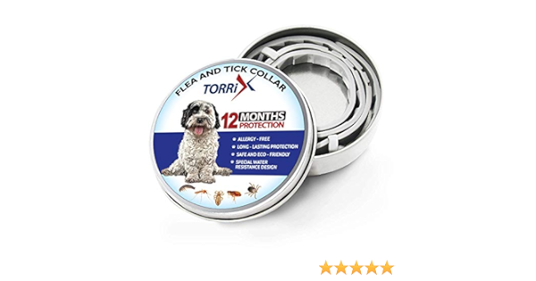 torrix dog collar
