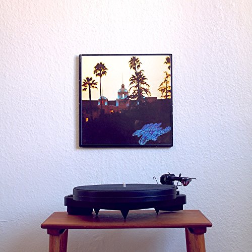 Twelve Inch – Unsichtbare Halterung für Schallplatten – Zur Anbringung Ihrer Schallplatten und Schallplattenhüllen an der Wand – Keine Rahmen oder sichtbaren Halterungen - 5