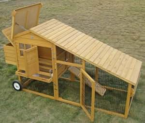  NORTHERN IRELAND, ISLANDS, SCOTTISH HIGHLANDS): Amazon.co.uk: Pet