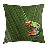 Funda de cojín con diseño de rana de árbol teñido en color rojo en macro con hojas...