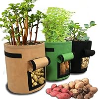 Bolsas para plantas | Amazon.es