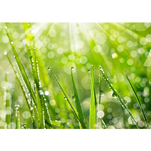 Vlies Fototapete PREMIUM PLUS Wand Foto Tapete Wand Bild Vliestapete - Blumen Blüte Natur - no. 199 Natur Gras Wiese Halm Sonne, Größe:350x245cm Vlies