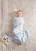 aden + anais Disney Baby Classic Swaddle (Bambi, Pack of 4)