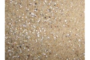 Debes Matador Papageiensand mit Kalk und Anis 6 kg - Grober Vogelsand mit herrlich frischem Anisduft