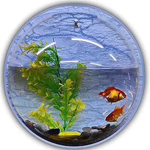 Hanging Aquarium Transparent Acrylic Fish Bowl 6 inch Non- Breakable Flower Pot