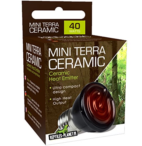 Reptiles Planet Lámpara de calor reptiles y mini terrarios, de cerámica, 40 W