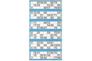 BINGO SOCIAL Livre de 750 cartons de bingo (bleu)