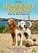 Homeward Bound 2: Lost in San Francisco [DVD] [1995]