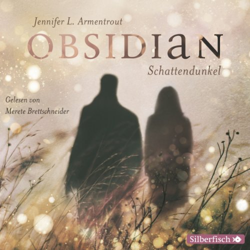 Schattendunkel-Obsidian-1