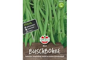 Sperli Buschbohnensamen Maxi 80091 - Fadenlose, langhülsige Sorte im Gluckentyp - Inhalt für 4-5 lfd. Meter - Gemüsesamen, Samen Gemüse, Saatgut