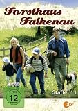 Forsthaus Falkenau - Staffel 11 (Jumbo Amaray - 3 DVDs) - Christian Wolff