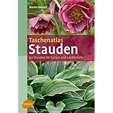 Das Grosse Buch Der Stauden 1800 Gartenblumen Und Graser Von A Z Amazon De Barlage Andreas Von Berger Frank Michael Bucher Das Grosse Buch Der Stauden 1800 Gartenblumen Und Graser Von A Z Amazon De Barlage Andreas Von Berger Frank Michael Bucher