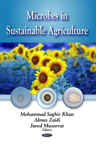 Microbes in Sustainable Agriculture by Mohammad Saghir Kahn (2009-01-01)