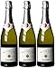 Codorniu Cava Non Plus Ultra Reserva Brut Codorníu, 3er Pack (3 x 750 ml)