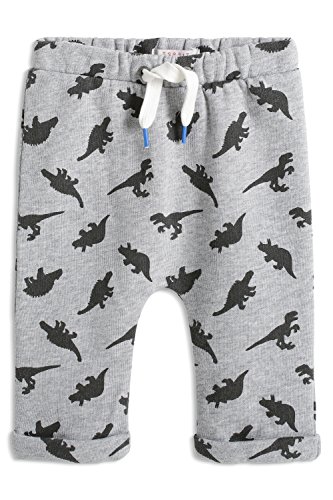 ESPRIT Baby-Boys 095EEBB008 Dino AOP Knit P Animal Print Trousers, Medium Grey, 0-3 Months (Manufacturer Size:62)