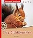 Das Eichhörnchen (Meine große Tierbibliothek) by Stéphanie Ledu-Frattini, Anne Brauner