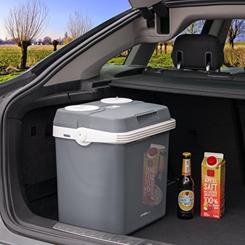 TZS First Austria - 20 Liter Kühlbox, zum Warmhalten und Kühlen, thermo-Elektrische Kühlbox 12 Volt und 230 Volt, Mini-Kühlschrank | Höhe: 42 cm | für Auto, Boot und Camping | EEK A++ mit ECO Modus - 5