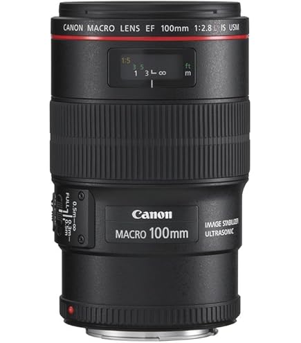 Canon RF 100mm F2.8L Macro IS USM - Professional Macro Lens For