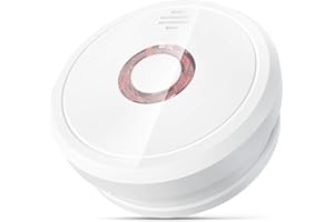 Smoke Alarms for Home, Isafenest Smoke Alarm 10-Year Sensor/5-Year Battery Fire Alarm with LED Indicator and Silence Button, Photoelectric Fire Alarm Battery Operated