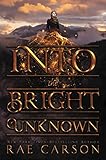 Cover zum Buch Into the Bright Unknown