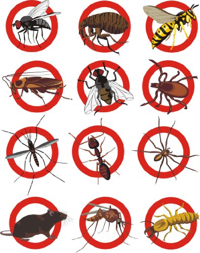 1,5m² INSEKTENSCHUTZNETZ Moskitonetz Fliegennetz Netzabdeckung (Meterware) (Weiß, 150cm Breite) - 4
