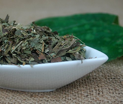 Preisvergleich Produktbild Naturix24 – Lungenkrauttee, Lungenkraut geschnitten – 500g-Beutel