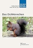 Image de Das Eichhörnchen - Sciurus vulgaris