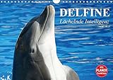 Delfine - Lächelnde Intelligenz (Wandkalender 2018 DIN A4 quer): Die intelligenten Säugetiere mit Ich-Bewusstsein (Geburtstagskalender, 14 Seiten ) ... [Kalender] [Apr 01, 2017] Stanzer, Elisabeth by 