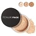 Kolylong Oil Lasting Anti-sweat Breathable Transparent Loose Powder (A)