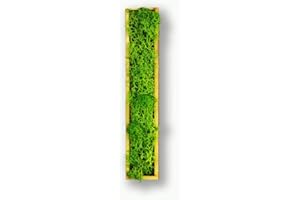 ‎MOOSLY Moosly® Moss Picture - I - with Wooden Frame, Moss Decorative Letters Sign Symbol Number Wooden Letter with Real Icelandic Moss Wall Sticker Wall Sticker Wall Picture Self-Adhesive Living Room (110 I)
