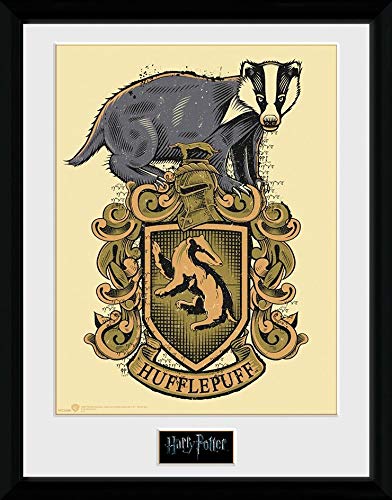 Preisvergleich Produktbild Harry Potter Hufflepuff Gerahmtes Bild Mehrfarbig