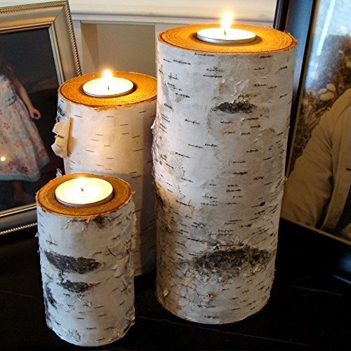 Real Birch Log Tea-light Candleholder Set (3) These Candleholders Are Crafted From Real Birch Logs. The Tallest Measures About 7.5" X 2.5". the Next Is About 6" X 2.5". the Smallest Is About 4" X 2.5". They Each Hold a Replaceable 1-1/2 Inch Tea-light Candle. (Candles Included) Sealed Tops to Protect the Wood & Felt Covered Bottom to Protect Your Furniture. These Are Cut From Real Birch Trees with the Birch Bark Intact. Each Having It's Own Personality Given By Nature. by BINESHII