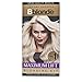 Jerome Russell BBlonde Maximum Blonding Kit No.1