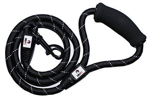 CHILIPET Correa para Perros de 122cm de Largo Hecha de Cuerda de Nylon Muy Resistente y Confortable al Tacto, Absorbe la Estirada de tu Mascota. Ideal para Razas Pequeñas, Medianas a Grandes