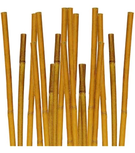 AlaStore Canne di babù Resistenti e Naturali - Canne Baboo per orto