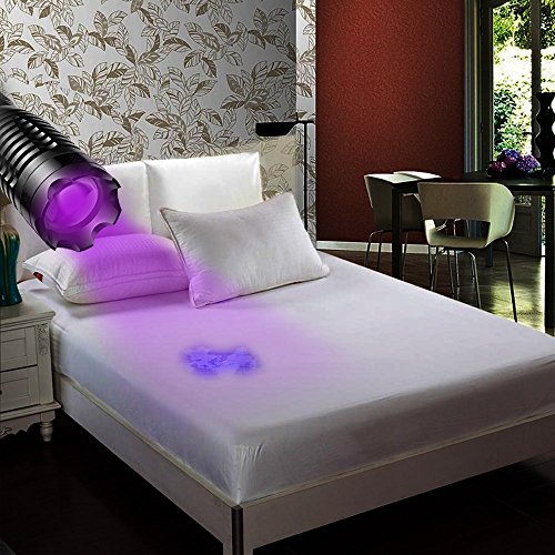 UV Schwarzlicht Taschenlampe, AhomePlay Ultraviolet 395nm LED Lampe, Urinflecken detektor, Bett-Wanzen-Sucher, Hund / Katze Fleckenentferner, mit Batterie 18650 und Aufladeeinheit - 7