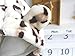 Pandaren® baby snowsuit bodysuit jumpsuit outfit coat for baby infant boy girl(dairy cow) (6-9 months)