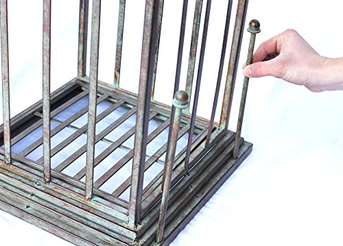 DanDiBo Rosenbogen mit Tor Pforte 110241 aus Metall Schmiedeeisen 274×172 cm Gartentor - 3