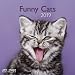 Produktbild Funny Cats - Broschurkalender - Kalender 2019 - teNeues-Verlag - Art & Image - Wandkalender mit Poster und Platz für Eintragungen - 30 cm x 30 cm (offen 30 cm x 60 cm)