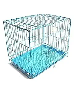 Royal Pet Dog and Rabbit Cage (Blue, 36 Inch)