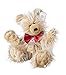 Suki Gifts International Silver Tag Bears Series 3 Collection (Sid Bear)