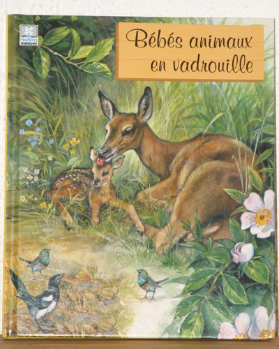 Bebes animaux en vadrouille gratuit Bebes animaux en vadrouille gratuit