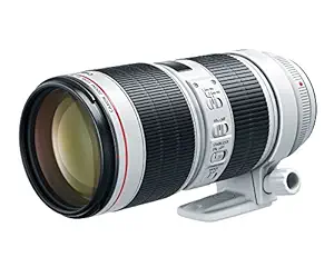 Canon EF 70-200mm f/2.8 is III USM with Lens Case and Lens Hood- Black