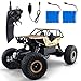 Produktbild RQINW 1:18 RC Autos mit Zwei Batterien - 4WD 2,4 GHz 4x4 Crawler Geländewagen für Kinder Erwachsene Hobby Spielzeug, Gold