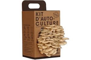 Kit de Culture de Champignons à la Maison | Cultivez des Pleurotes Frais en 15 Jours | Deuxième Récolte Possible | Cadeau Original et Ludique pour Gourmets et Familles | Resetea