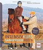 Image de Intensivkurs Gangpferdereiten