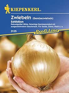 Zwiebeln Gem&uuml;sezwiebeln Exhibition