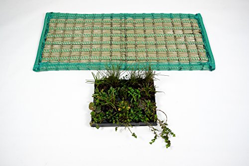 Pflanzinsel inkl. 20 winterharten Teich-Pflanzen, rechteckig, 125 x 55 cm – schwimmende Teichinsel mit Teichbepflanzung – Algen reduzieren in Koi-Teich durch Schwimmpflanzen auf Pflanzeninsel