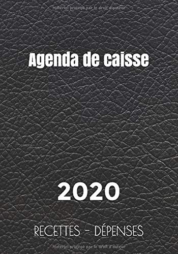 Télécharger AGENDA DE CAISSE: Agenda Perpétuel Journalier | Recettes - Dépenses | Euros et Cents | 17.8 x 25.4 livre En ligne